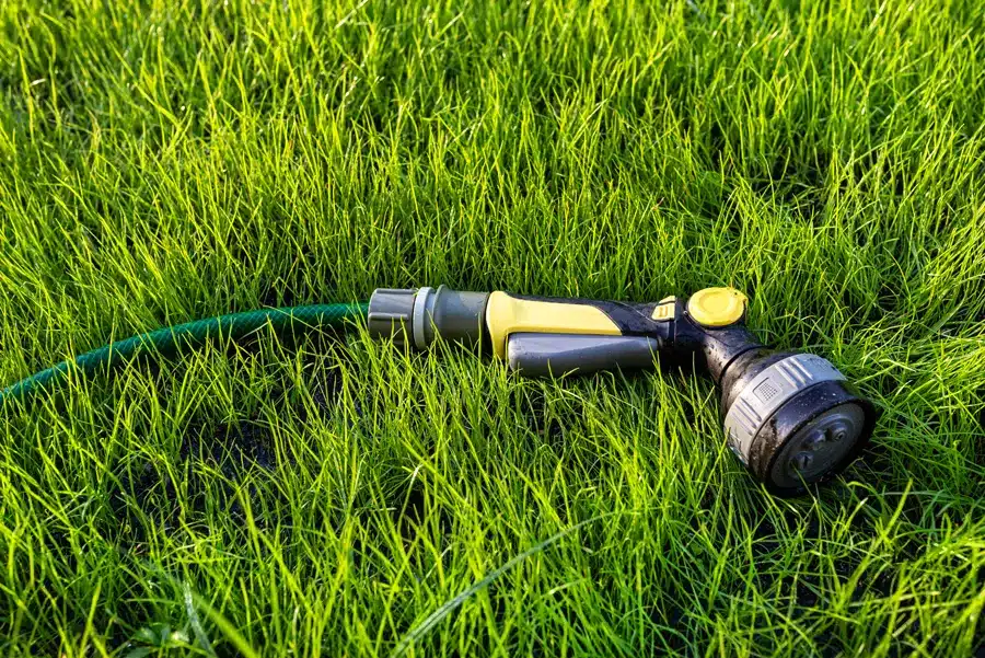 Consejos cuidado césped natural