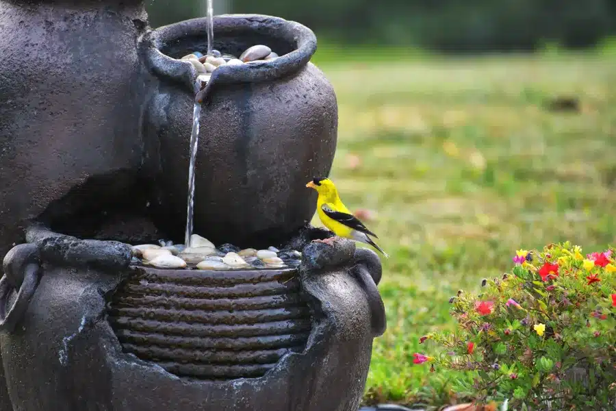 Decoración de jardines con estanques y fuentes naturales