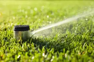 La importancia del riego adecuado en jardines de césped natural
