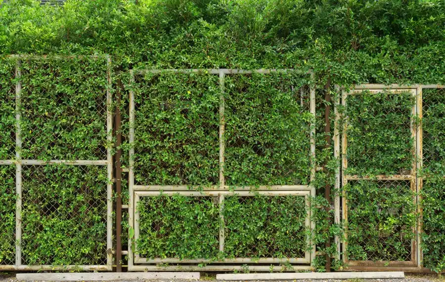 Valla privacidad jardín