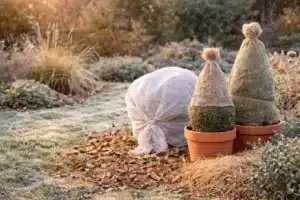 Preparar jardín para el invierno